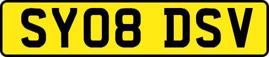SY08DSV