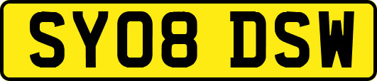 SY08DSW