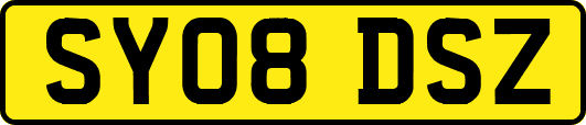 SY08DSZ