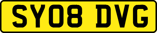 SY08DVG