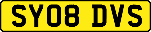 SY08DVS