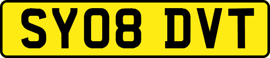 SY08DVT