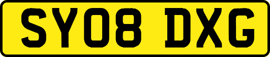 SY08DXG