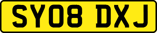 SY08DXJ