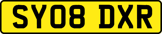 SY08DXR