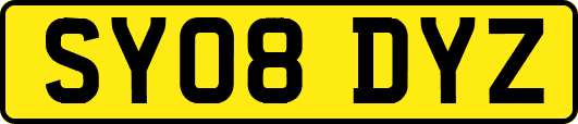 SY08DYZ
