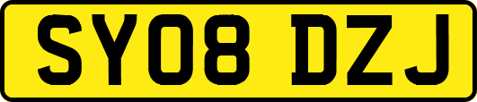 SY08DZJ