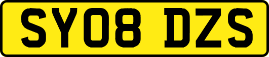 SY08DZS
