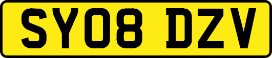 SY08DZV