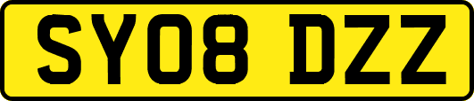 SY08DZZ
