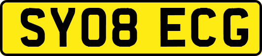 SY08ECG