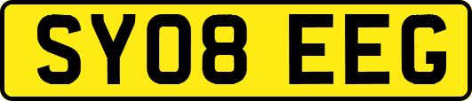 SY08EEG