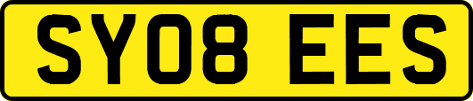 SY08EES