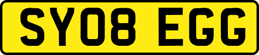 SY08EGG