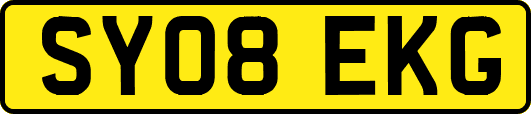 SY08EKG