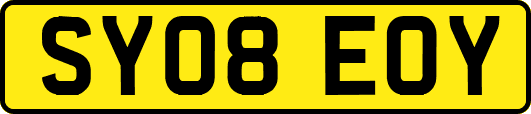 SY08EOY