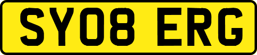 SY08ERG