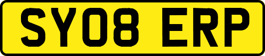 SY08ERP