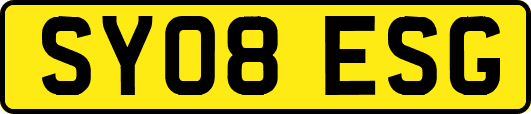 SY08ESG