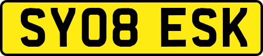 SY08ESK