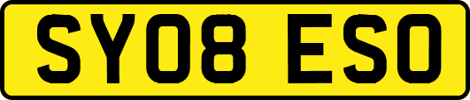 SY08ESO