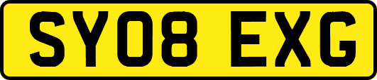 SY08EXG