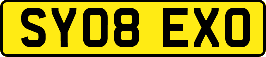 SY08EXO