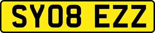 SY08EZZ