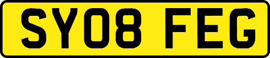 SY08FEG