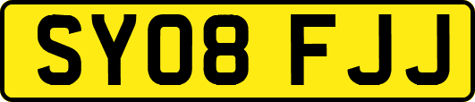 SY08FJJ