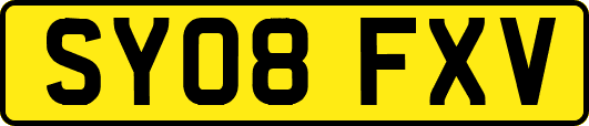 SY08FXV