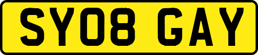 SY08GAY