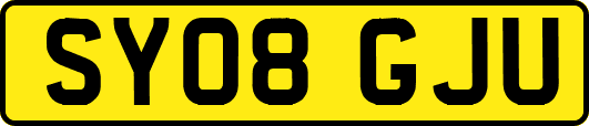 SY08GJU