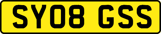 SY08GSS