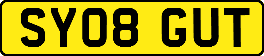 SY08GUT