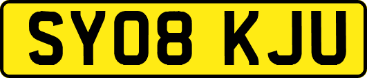 SY08KJU