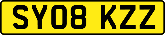 SY08KZZ