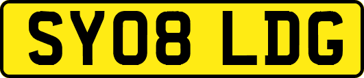 SY08LDG