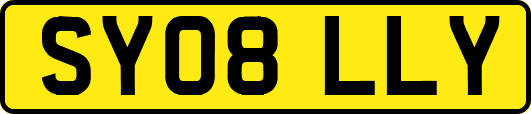 SY08LLY