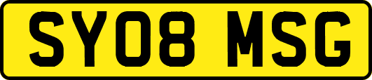 SY08MSG