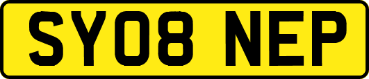SY08NEP