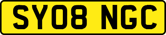 SY08NGC