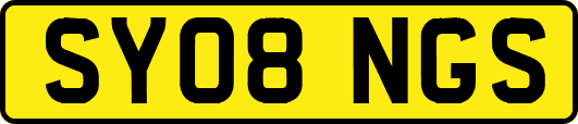 SY08NGS