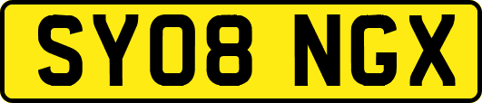 SY08NGX