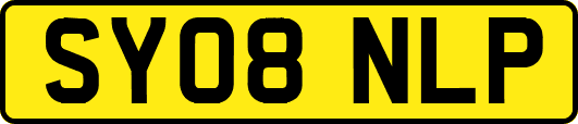 SY08NLP