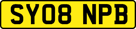 SY08NPB