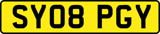SY08PGY