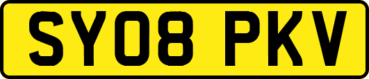 SY08PKV