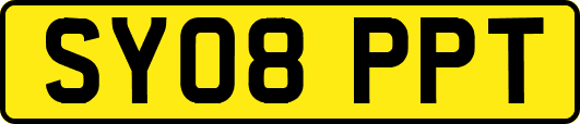 SY08PPT