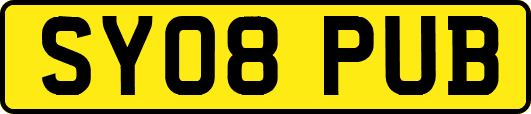 SY08PUB